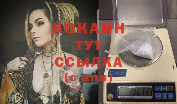 дмт Арсеньев