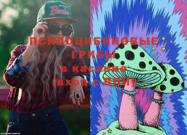 дмт Арсеньев