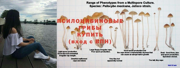 таблы Аркадак